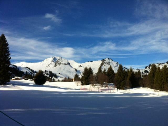 Terrasses Du Mont Blanc Apartamento Le Praz de Lys Exterior foto