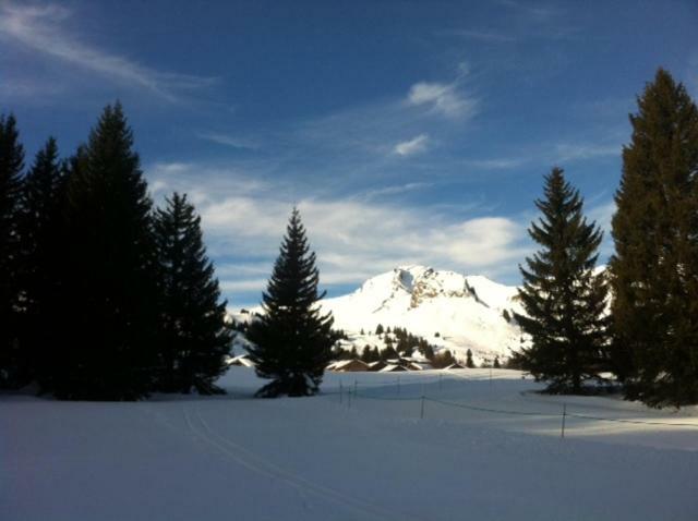 Terrasses Du Mont Blanc Apartamento Le Praz de Lys Exterior foto